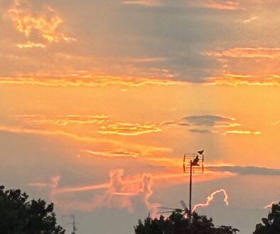 IMG_0808 IMG_0808